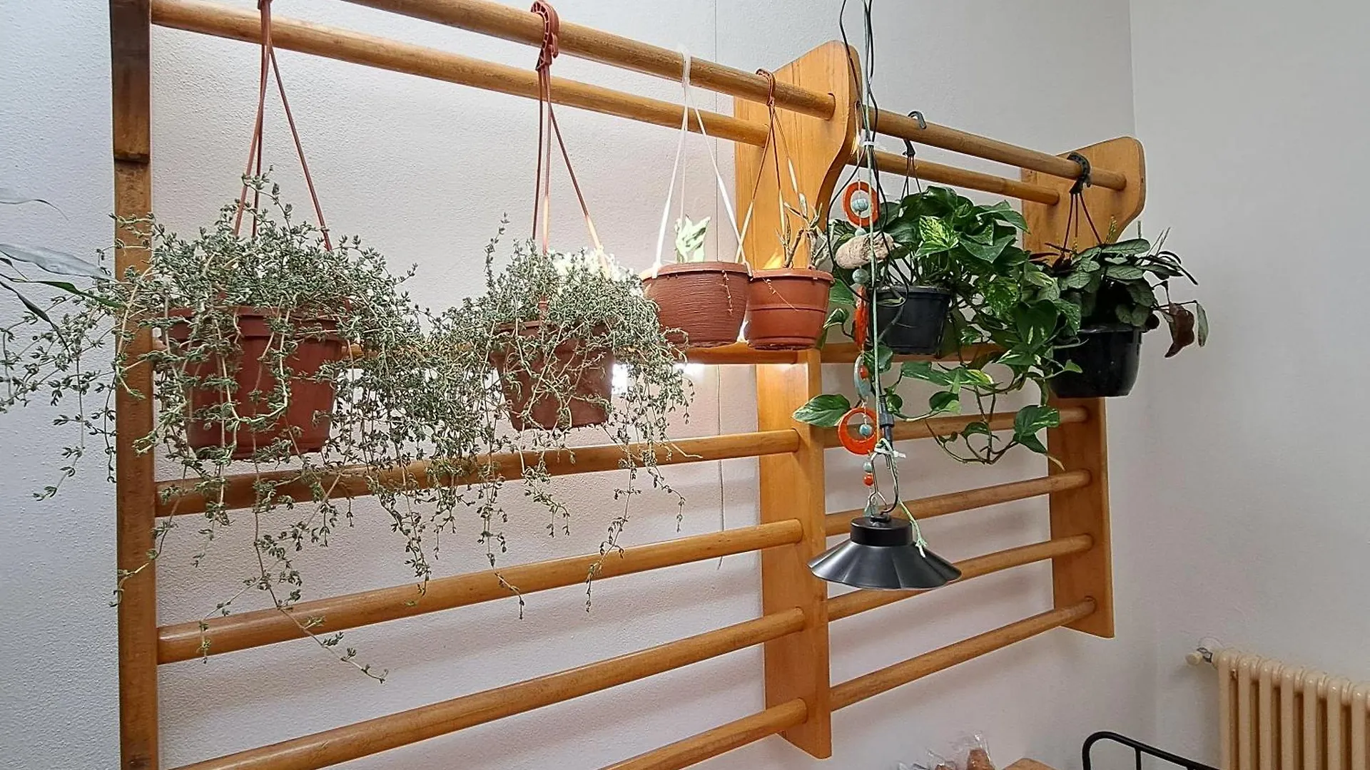 La Casa Verde Nel Centro Storico Livourne 0*,  Italie
