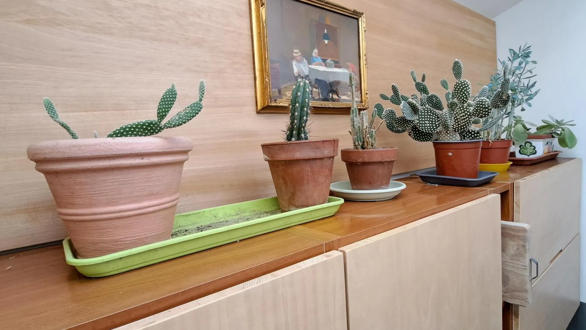 Appartement La Casa Verde Nel Centro Storico Livourne Italie