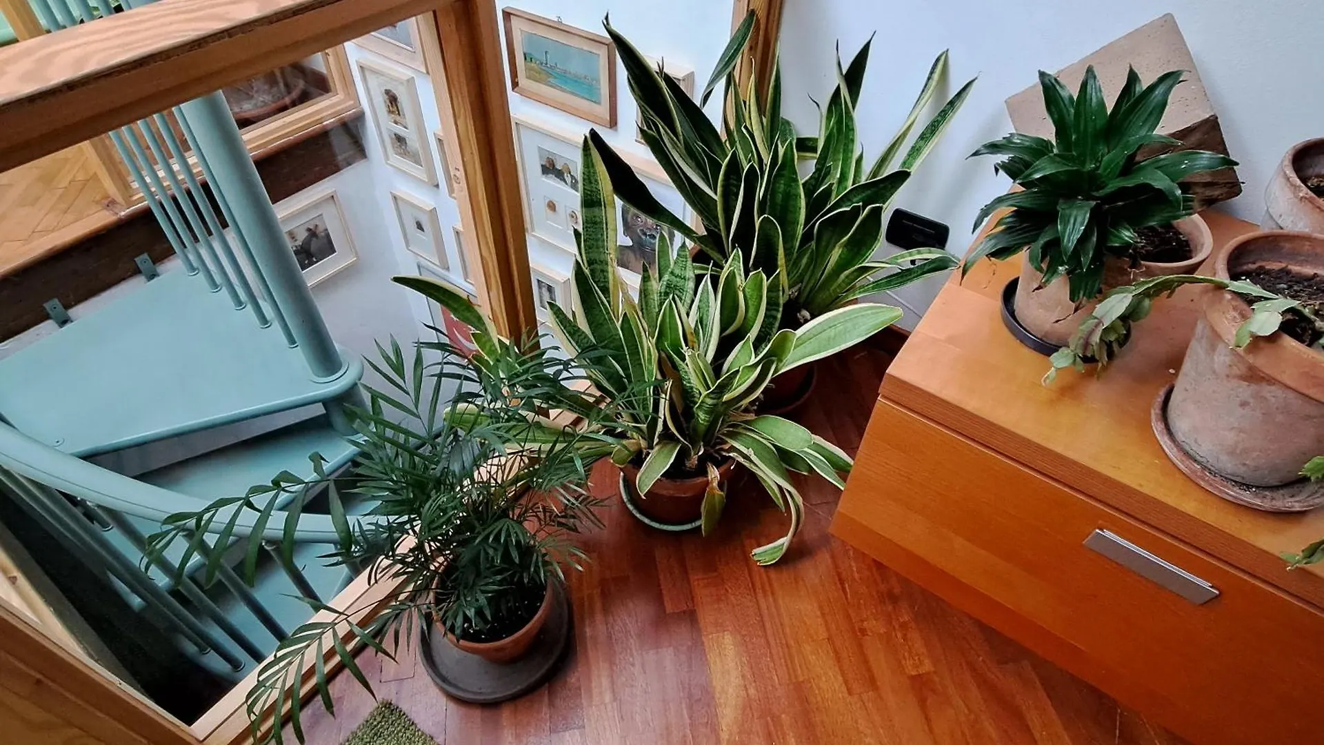La Casa Verde Nel Centro Storico Livorno Apartment