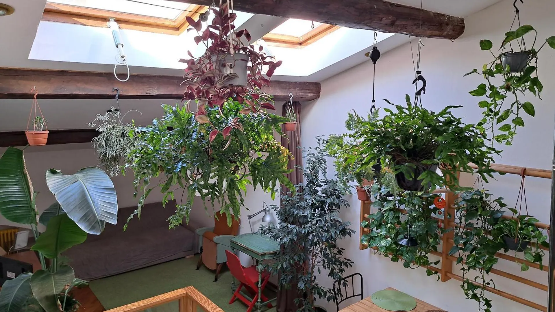 Apartment La Casa Verde Nel Centro Storico Livorno